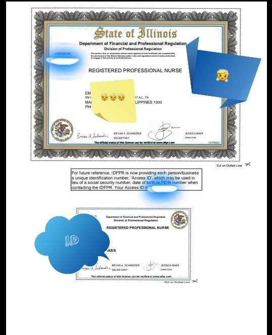 This Is It! Pinoy DIY Illinois Nursing License Application and Follow Up