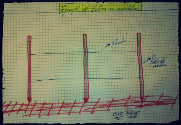 Imagen 0