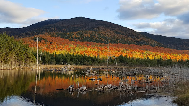 Magnifiique vue sur le mont Gosford