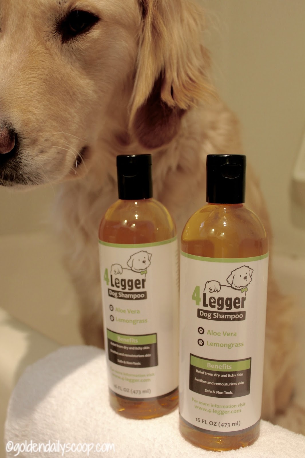 Is Your Dog Shampoo Safe?