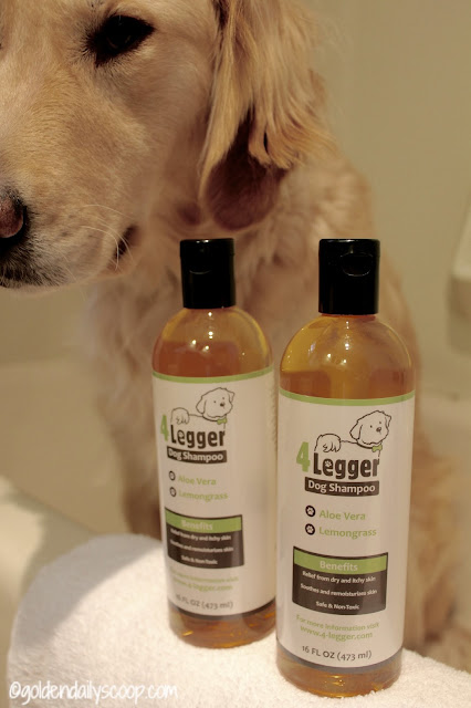 dog health, natural and organic dog shampoo