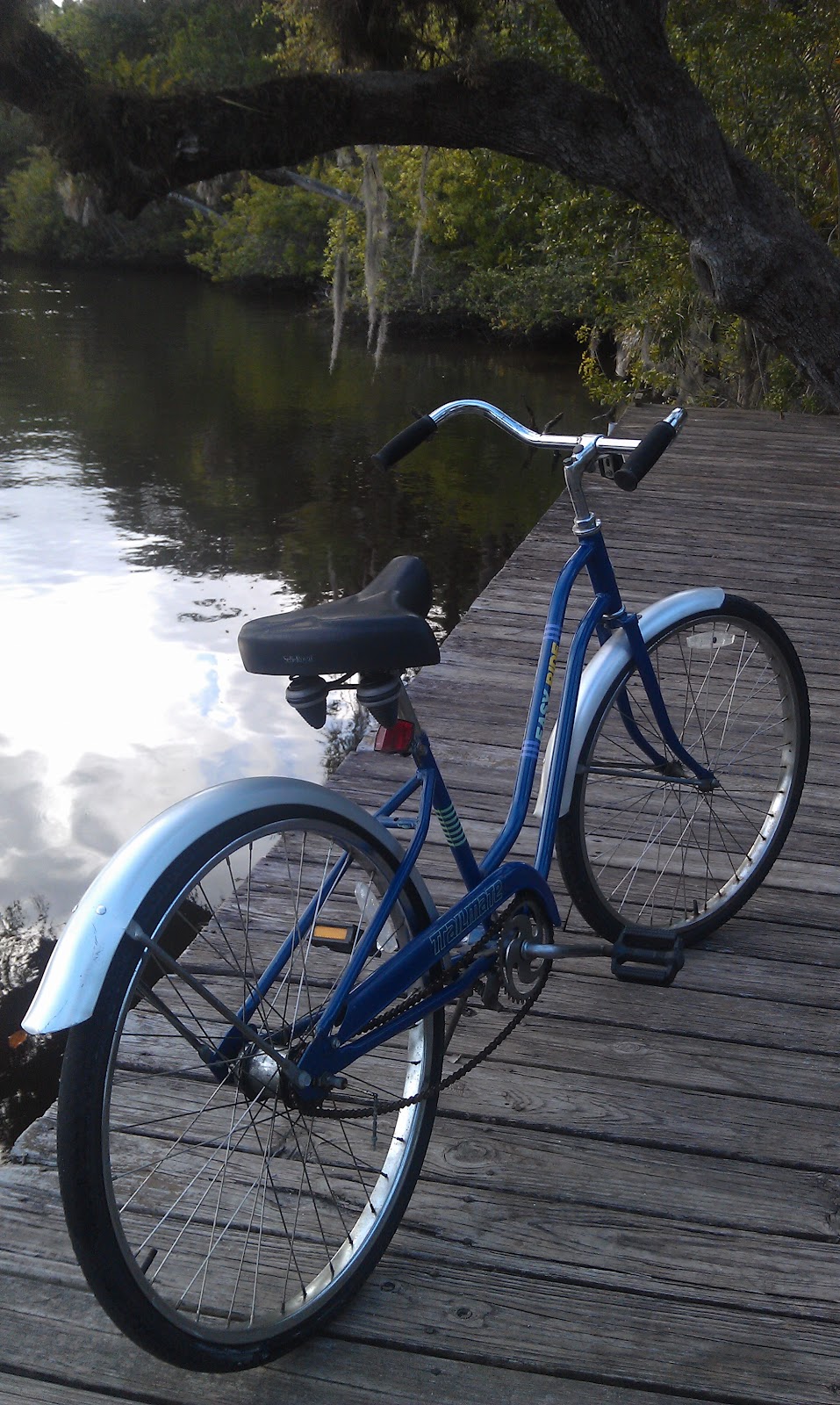 Beach Cruiser Inventory