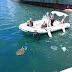 Επιχείρηση διάσωσης τραυματισμένης Caretta caretta  στο λιμάνι της Πάτρας