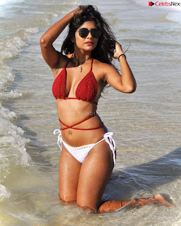 Vanita Dusky Damsel Bengali Supermodel Stunning Pics in Bikini   Desi Model in Bikini .xyz Exclusive Pics 008