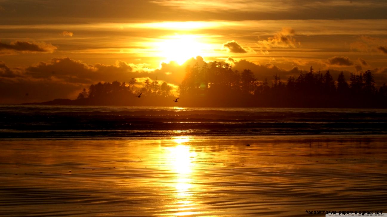 Beach Scene Sunrise HD desktop wallpaper  Widescreen  High