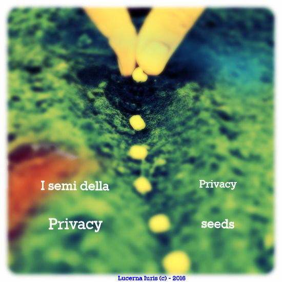 Privacy Seeds  -  I semi della privacy