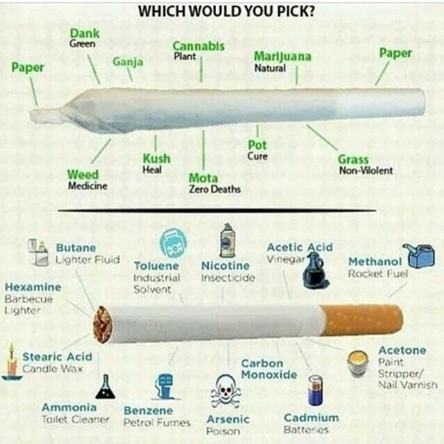 REVEALED See the composition of marijuana and cigarettes