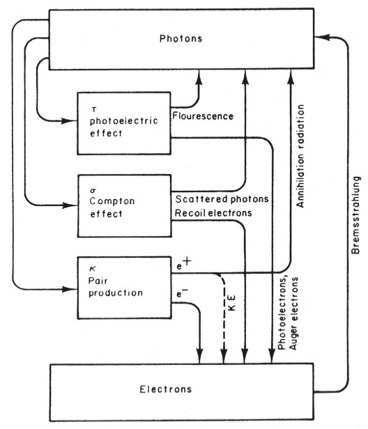 Intermediate Physics for Medicine and Biology: Top Ten Illustrations in ...