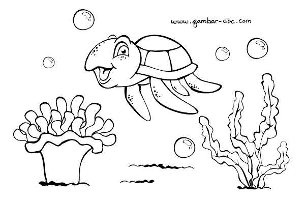 gambar mewarnai penyu