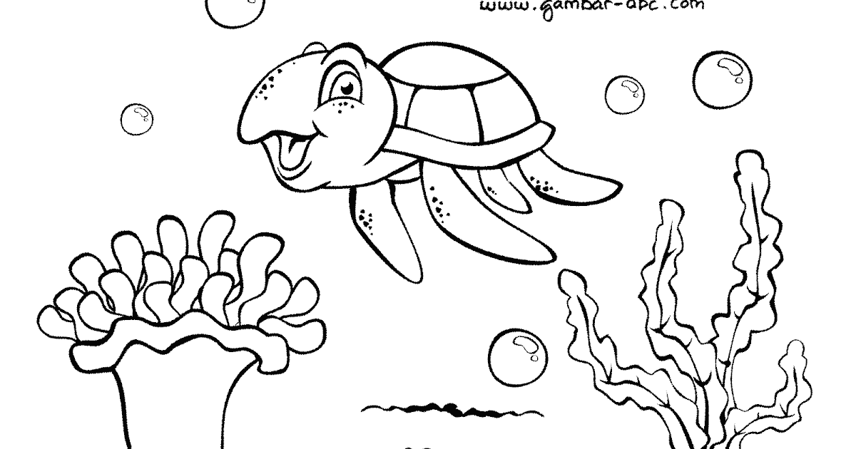 gambar mewarnai hewan di laut ubur ubur
