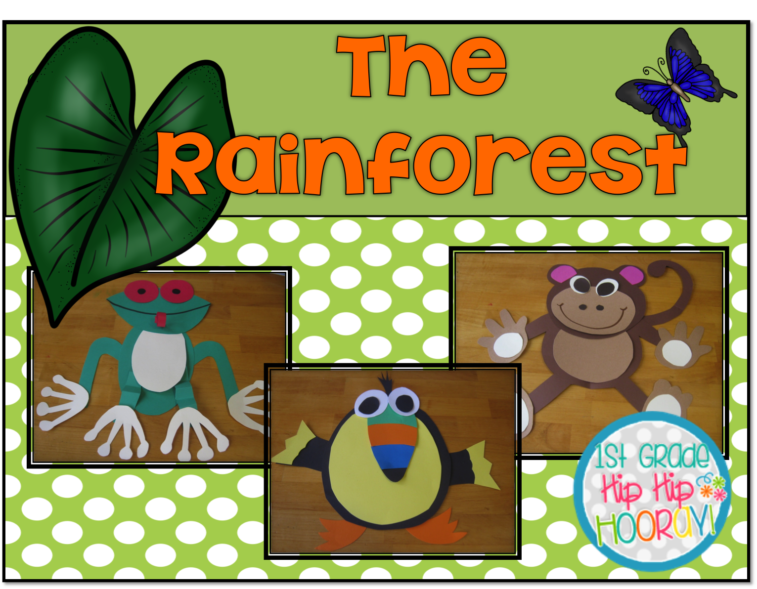 1st Grade Hip Hip Hooray!: A Rainforest Adventure for the Primary Child