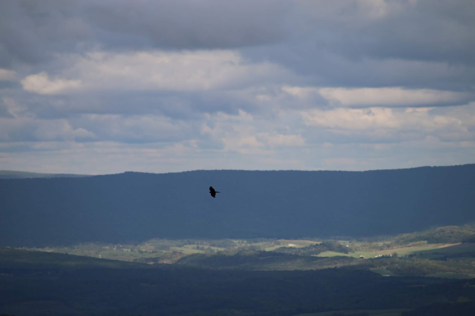 Allegheny Front Hawk Watch Stunning Overlook for Bird Watching