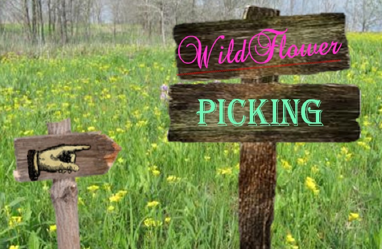 WildFlowers Boutique WiLdFlOwEr Picking