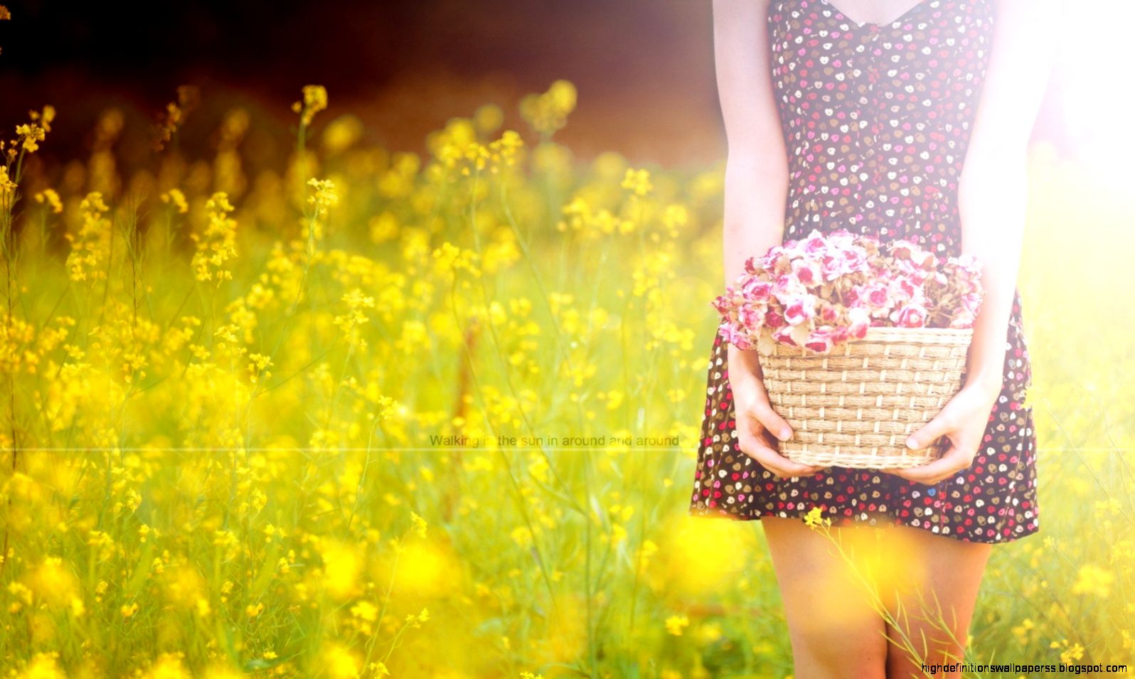 Girl Field Flowers Nature Photography Wallpaper