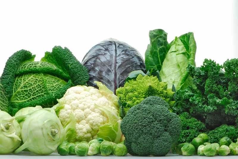 Quais São os Benefícios Dos Vegetais Brassica ou Vegetais Crucíferos Para a Saúde?