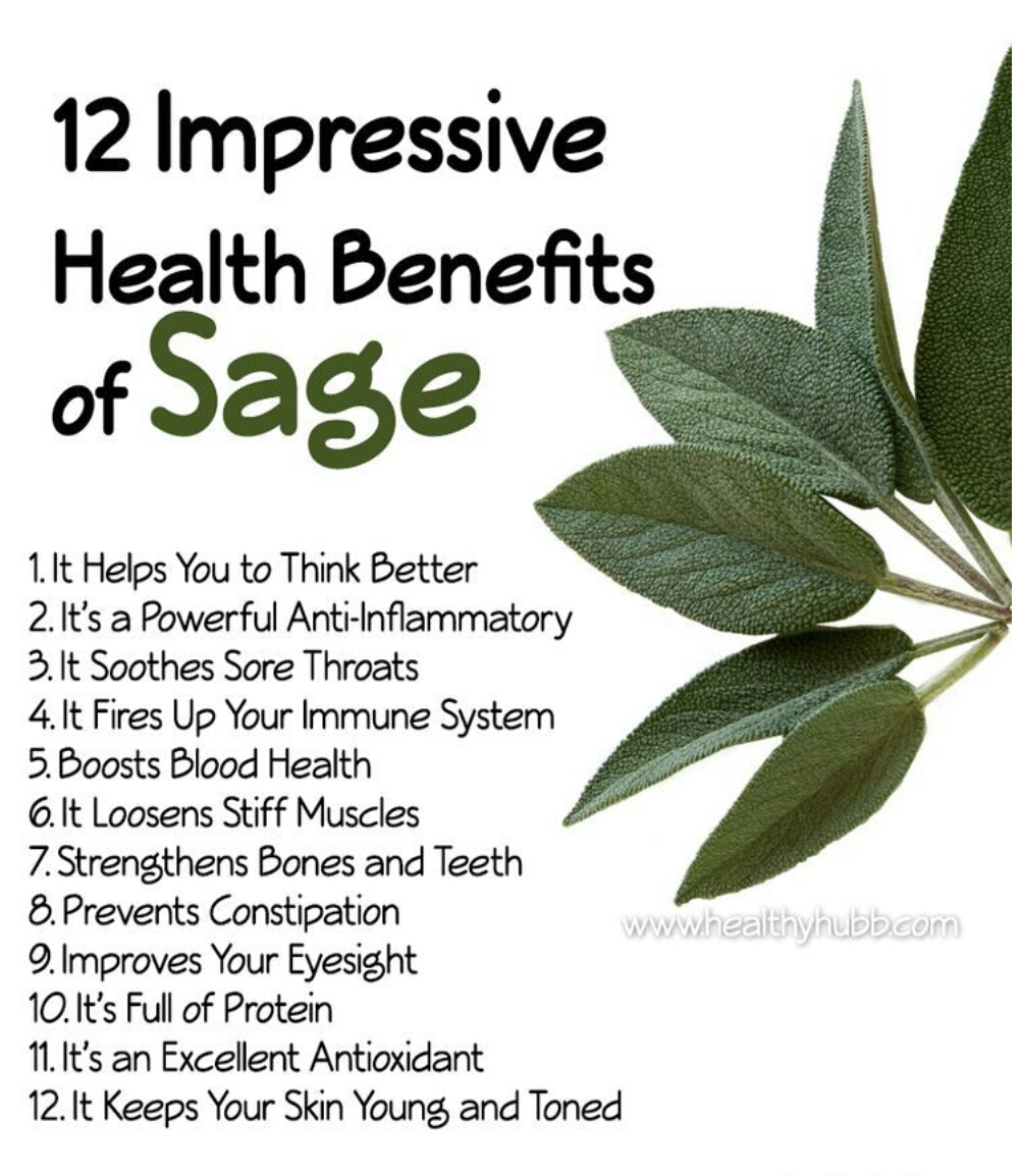 Health Benefits Of Sage