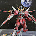 MG 1/100 Infinite Justice Gundam with Diorama