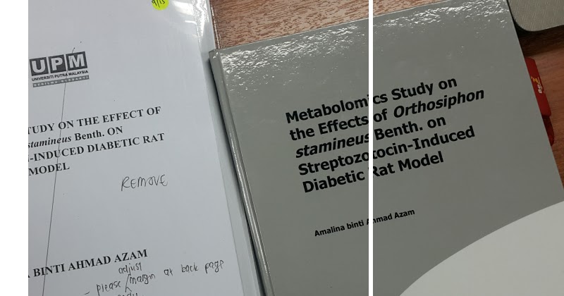 Upm thesis template word image