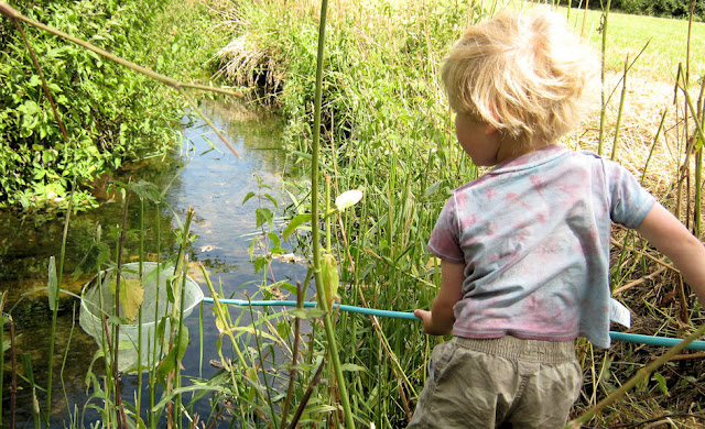 blond boy pond dipping with net beauty of nature