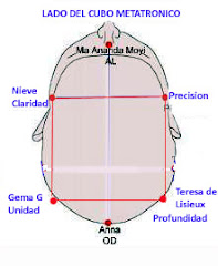 CUBO METATRÓNICO