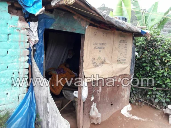 News, Munnar, Kerala, House, Oldage, Family,An old man dependent on street, incident in Munnar