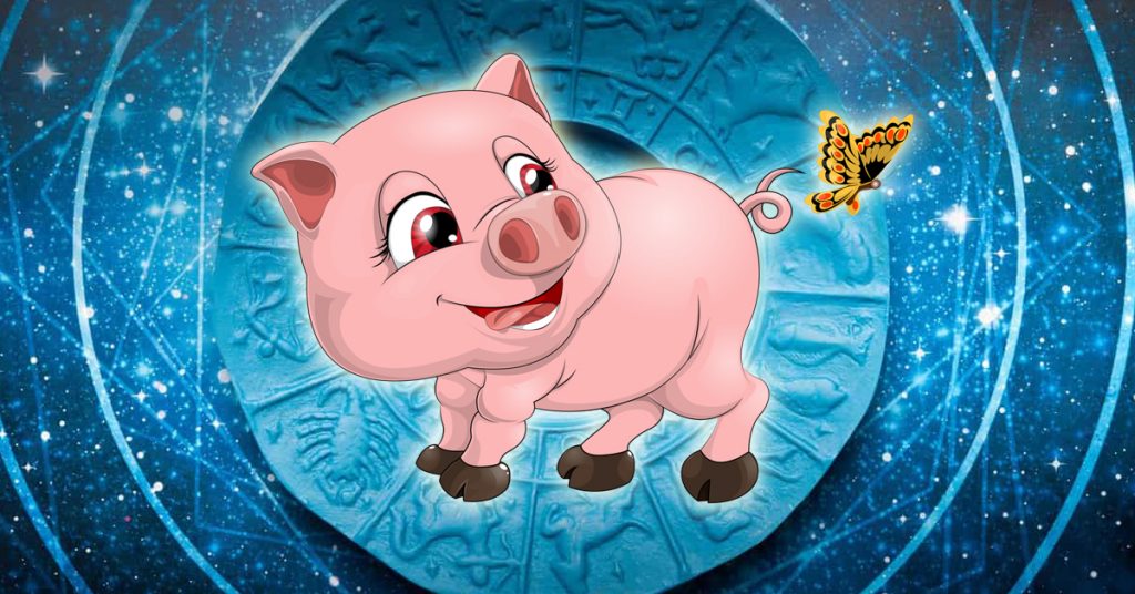 Свинья 1995. Зодиака: свинья. Водолей и свинья. Свинья гороскоп. Актер год свиньи 2019.