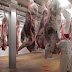بلجيكا تحظر ذبح الحيوانات على الطريقتين الإسلامية واليهودية