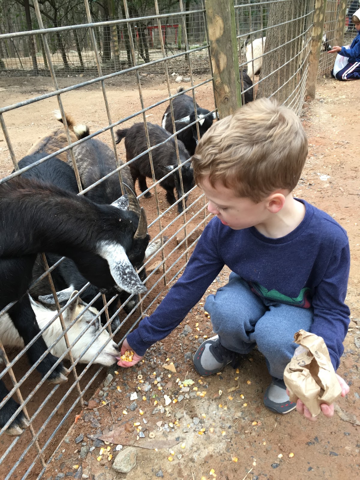 The Stuckey Boys Yellow River Game Ranch with the Brooks Twins