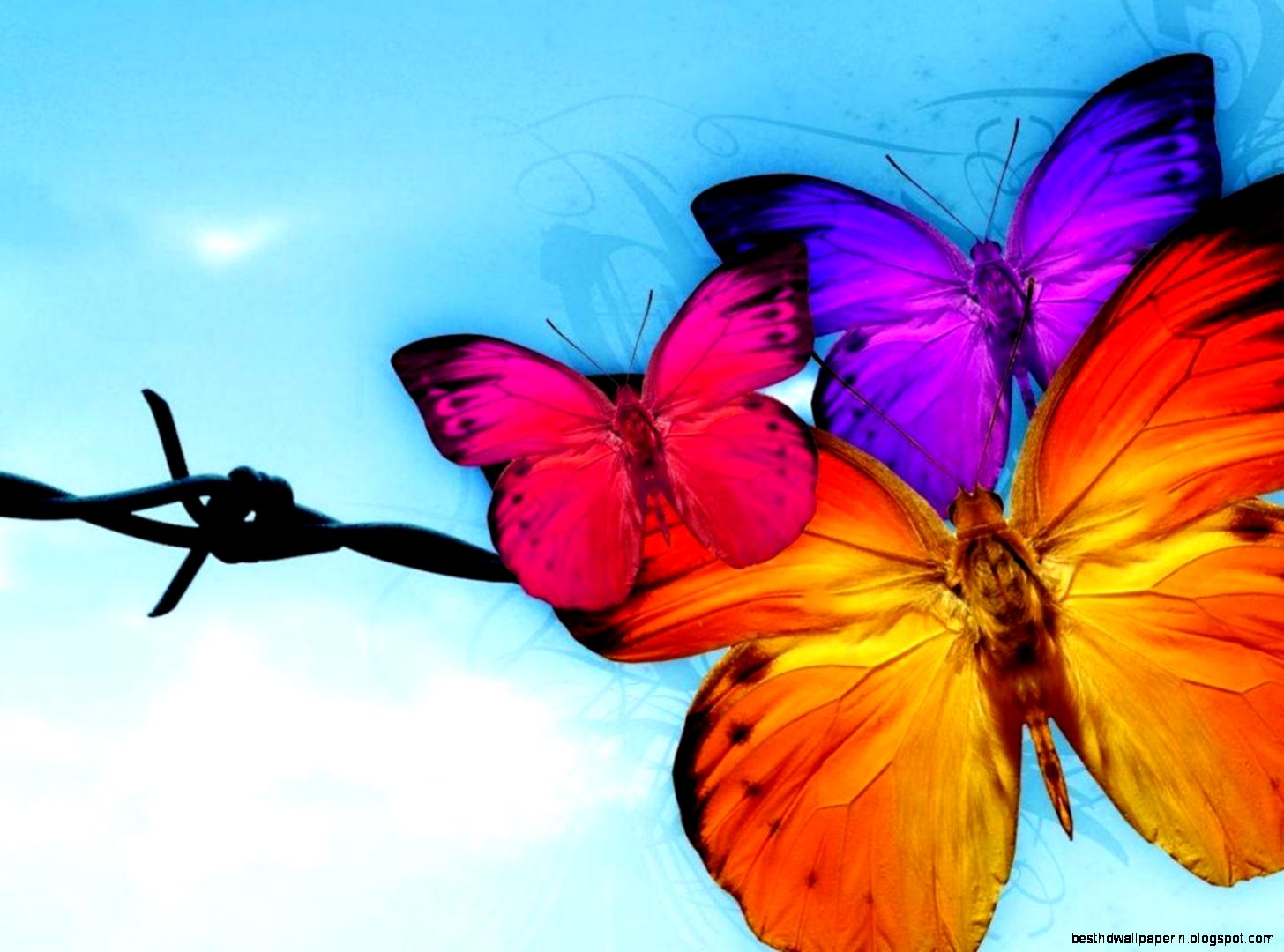 Free Butterflies Wallpaper