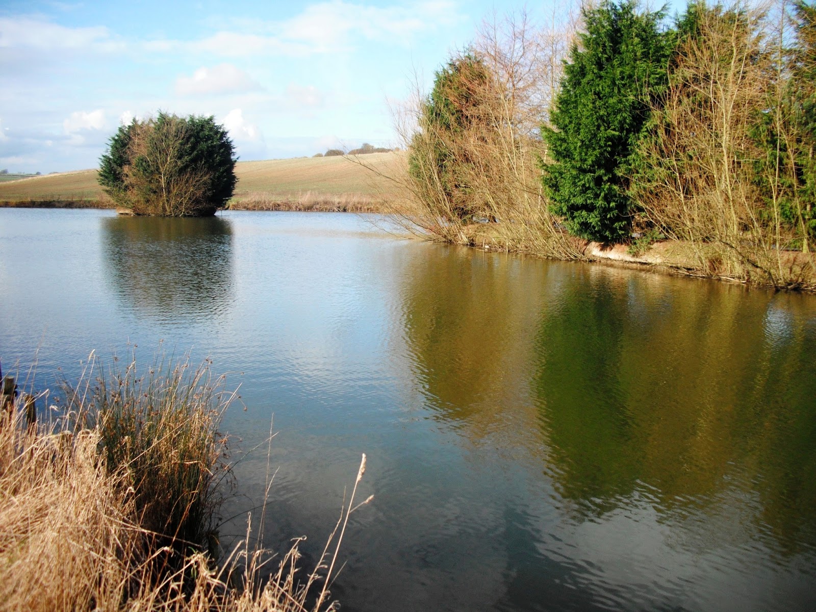 Love my life Bimbling around Binbrook