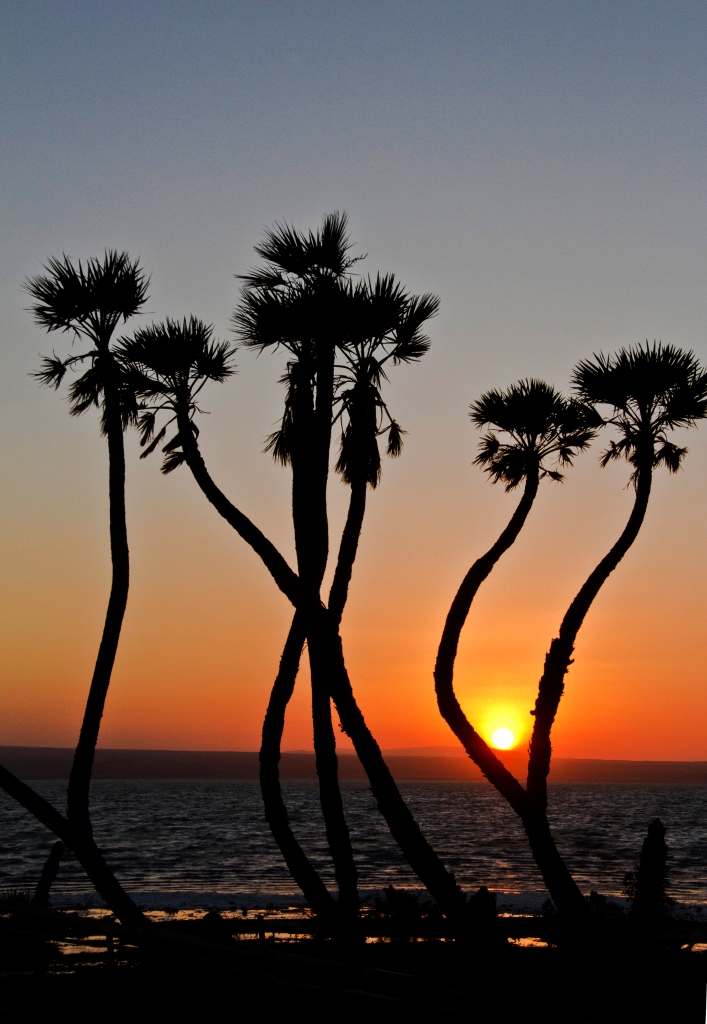 SIBISNUS ETIOPÍA LAGO AFRERA (ETIOPIA)