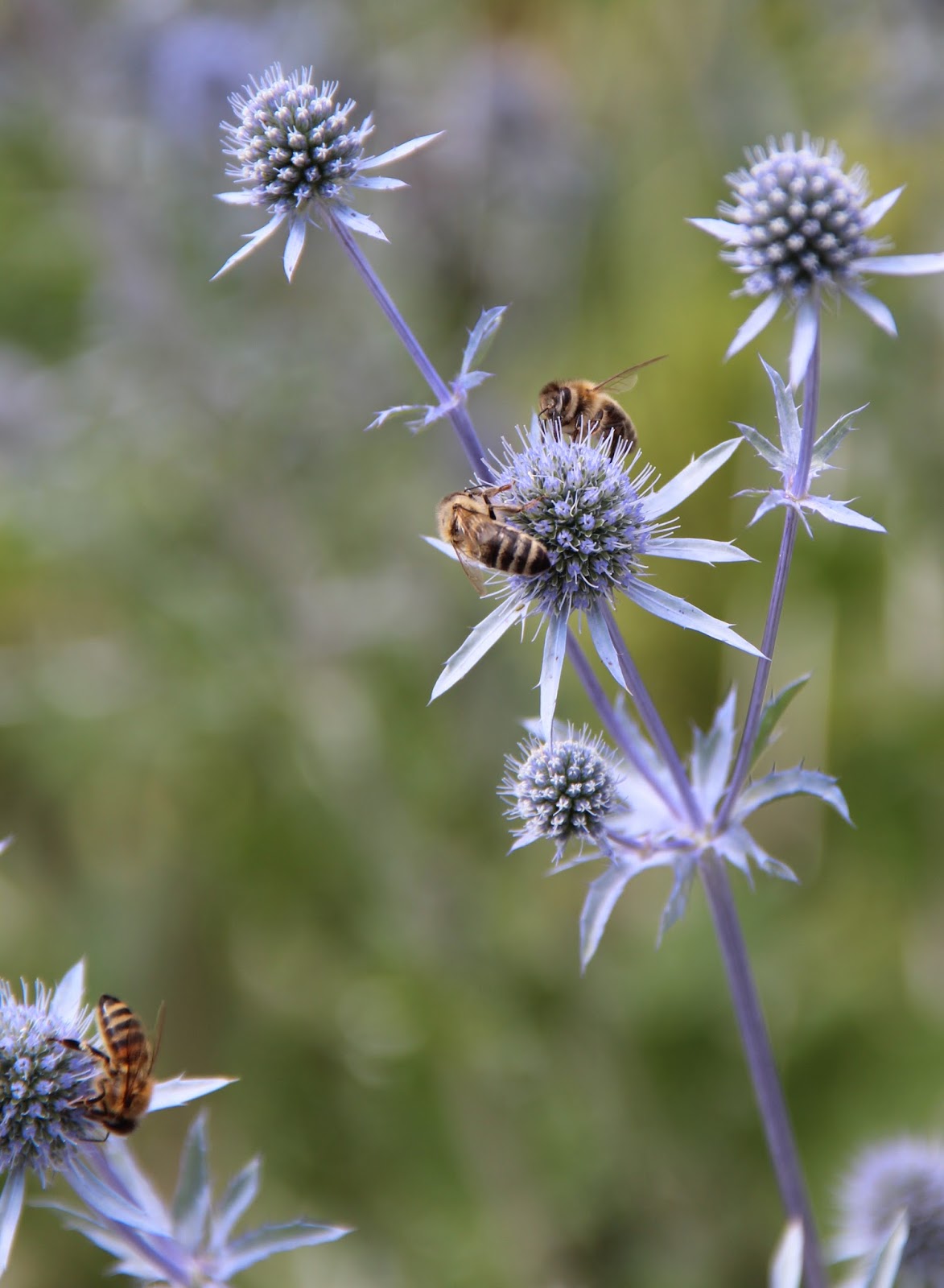 Farbmagie: Palmengarten