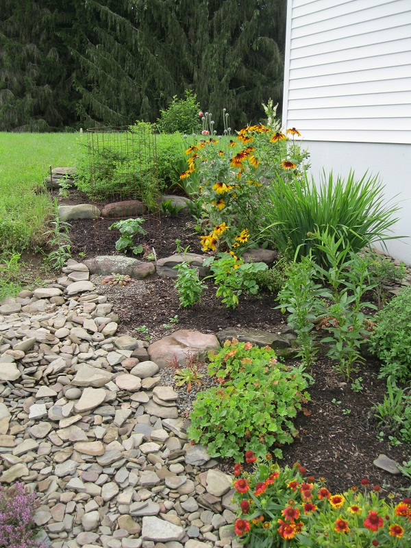 Plants and Stones Stones With Plants