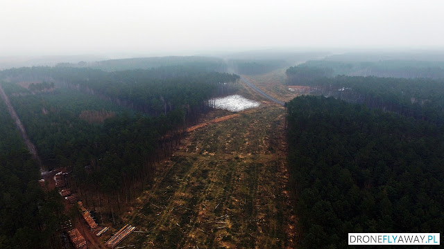 Widok z drona na wycinkę drzew w okolicy wsi Tryszczyn