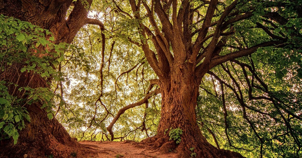 La Solitudine Di Gesu Ascolto E Dono Di Se Stesso