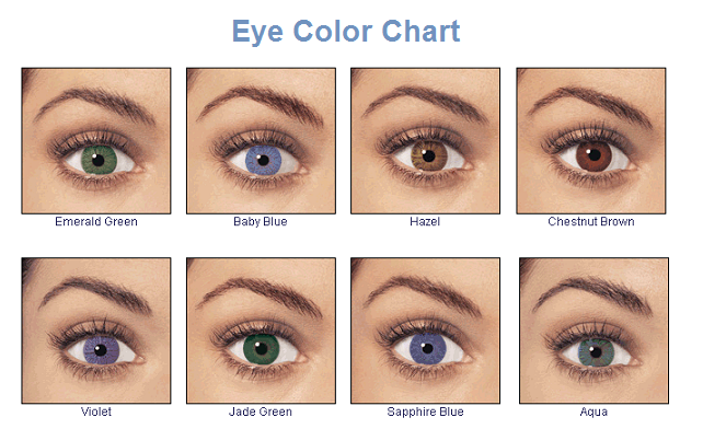 human eye colour chart by delpigeon the eye sight - 3 facts about eye ...