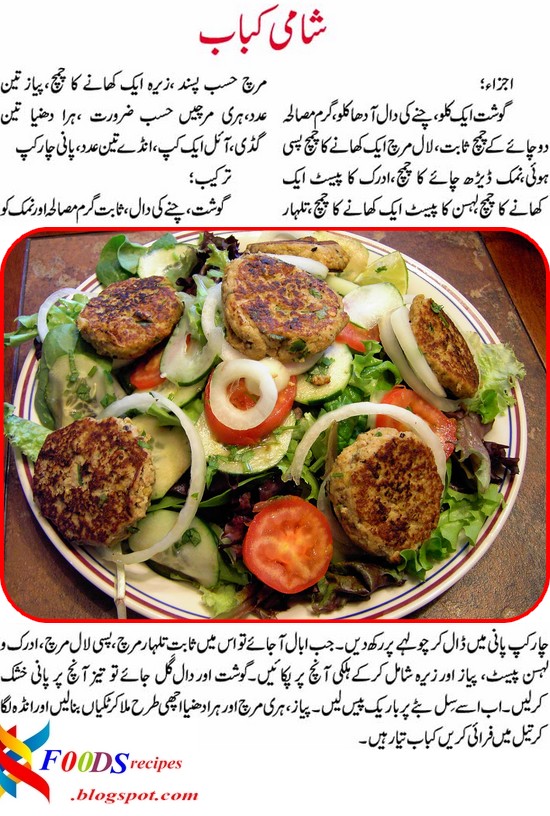 KFOODS RECIPES Chicken Shami Kabab Recipe in Urdu