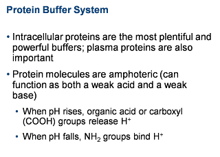 system eportfolio brenda posted am