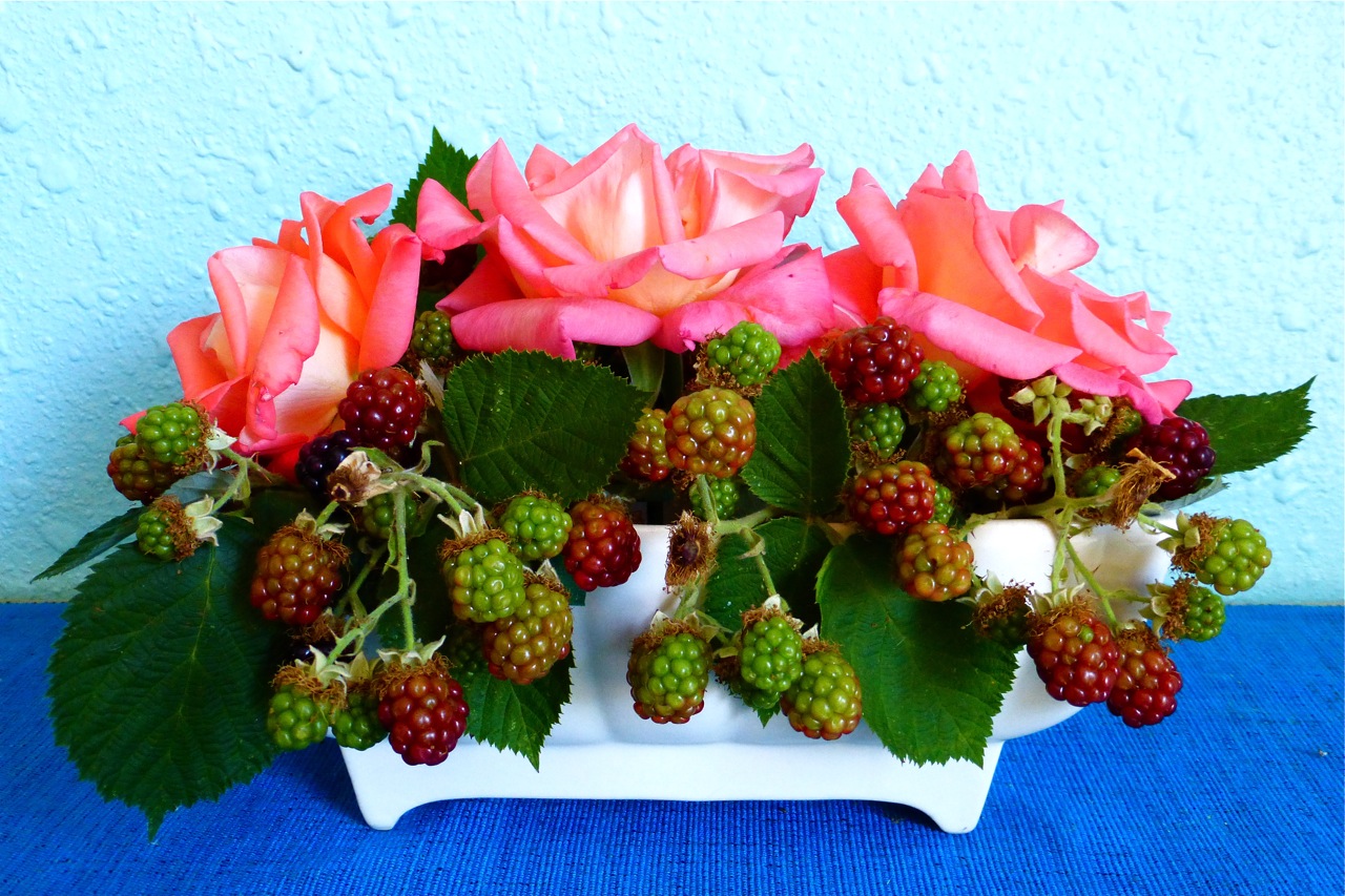 coral roses, blackberries, roses, 495-USA, flower arrangement, floral arrangement, roses and blackberries floral arrangement
