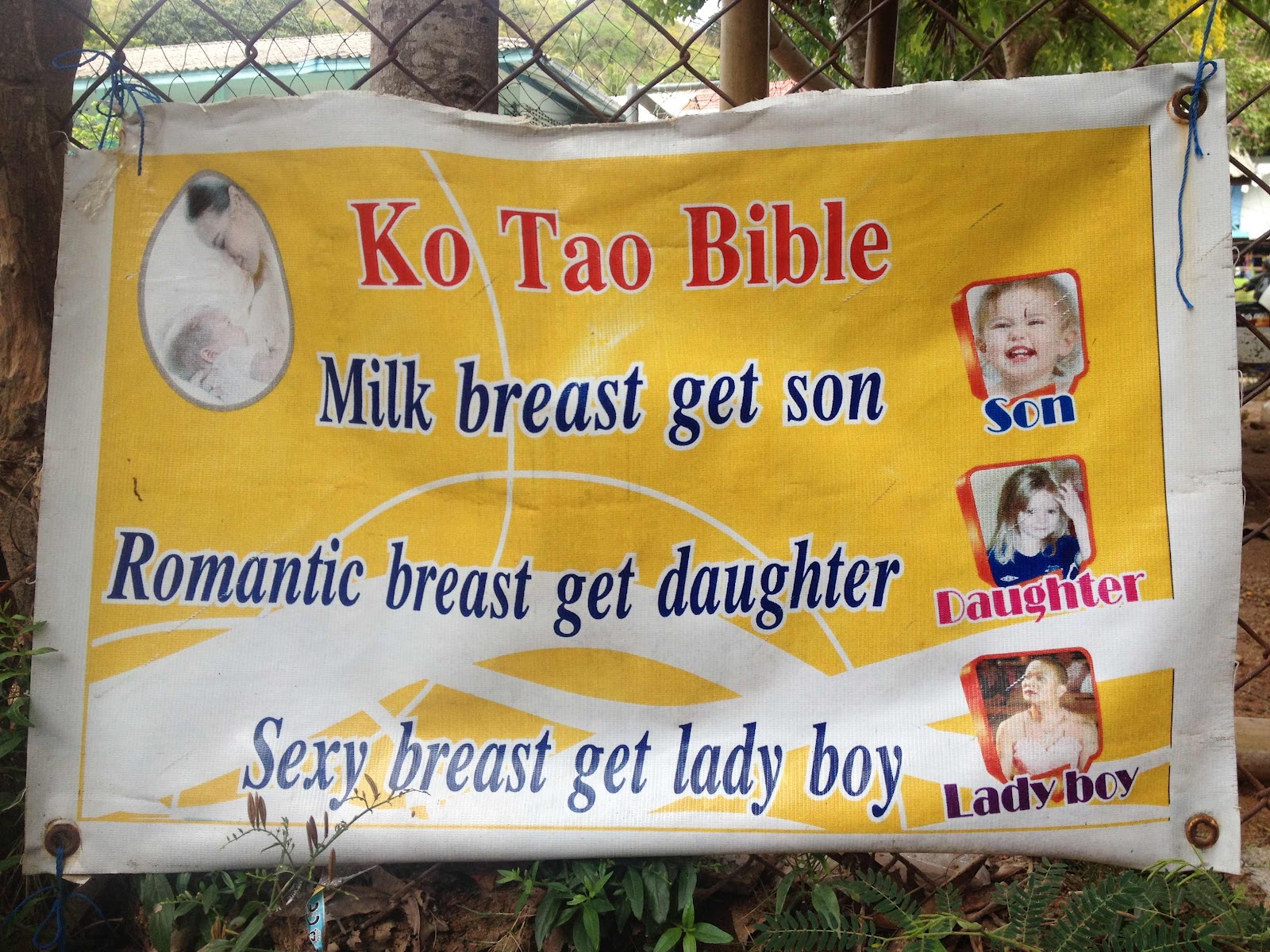 Daughters milk