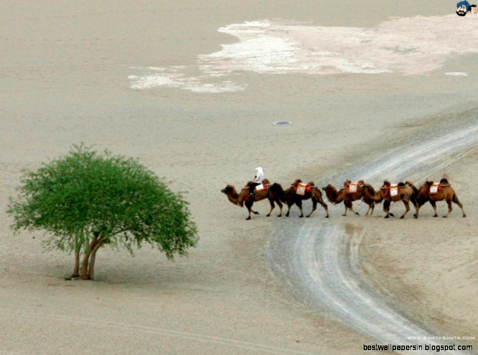 Santa Banta Wallpapers Nature   Wallpaper Cave