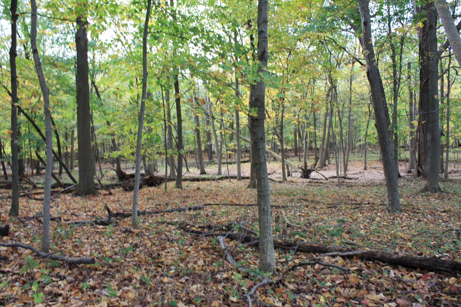 A Little Time and a Keyboard March 2012