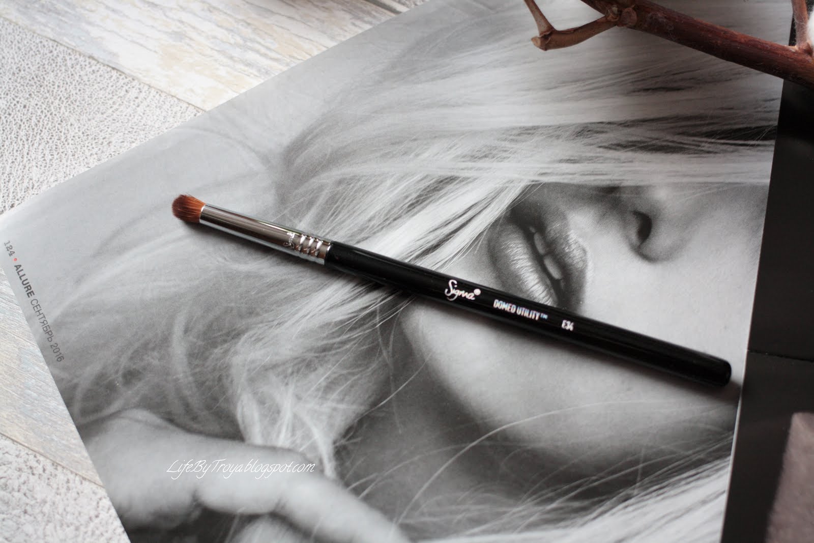 Review Sigma Brushes F79 Concealer Blend Kabuki, E34 Domed Utility