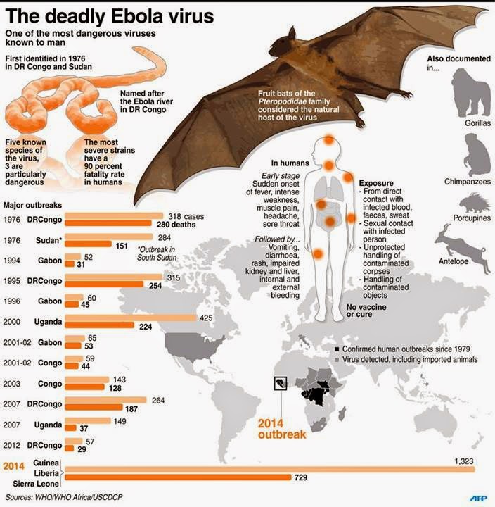 http://www.mb.com.ph/wp-content/uploads/2014/08/ebola3.jpg