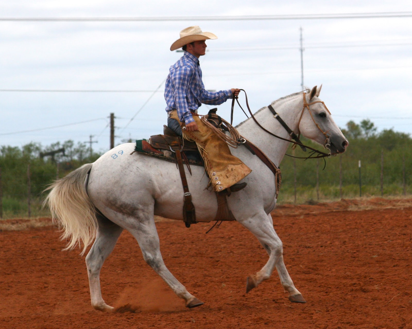 Life On The Plains Texas Legends 2012 Production Sale Waggoner Ranch