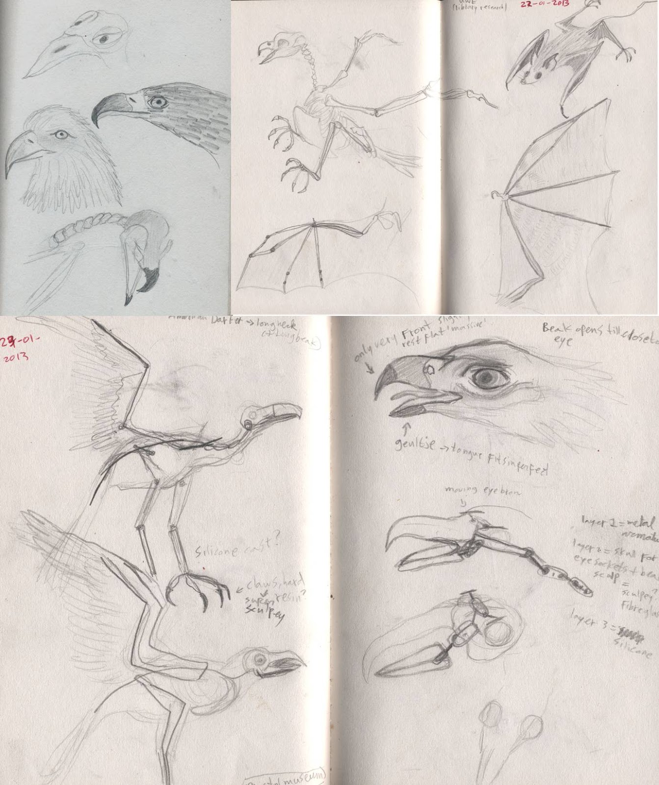 making a bird armature Anatomy of birds, and feathers...