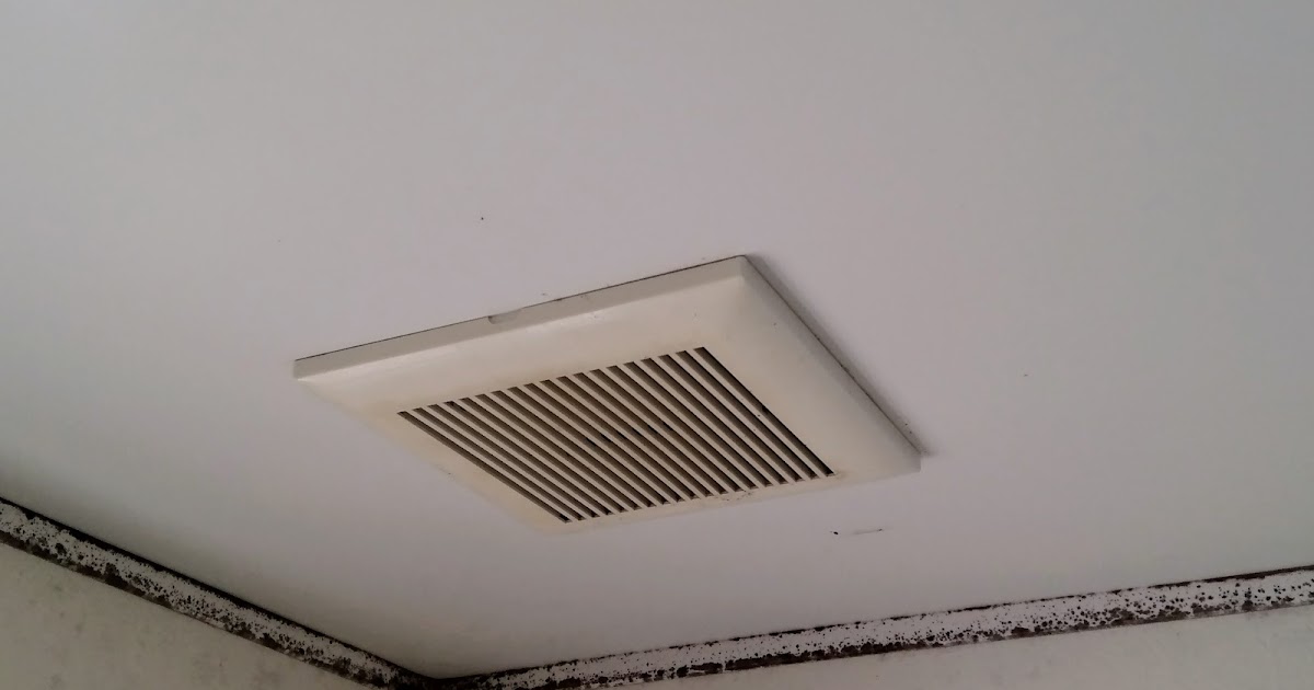 たっくんの鬱々園芸日記 風呂の換気扇が壊れています