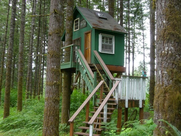 What not to miss in the tree house