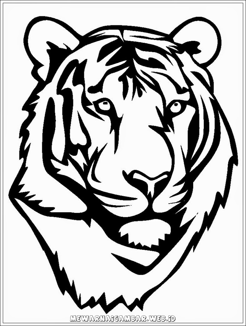 gambar kepala harimau untuk mewarnai