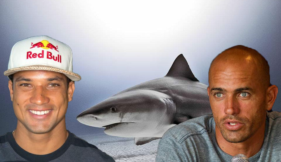 Kelly Slater,Right Bull,  and the Left shark welcome you